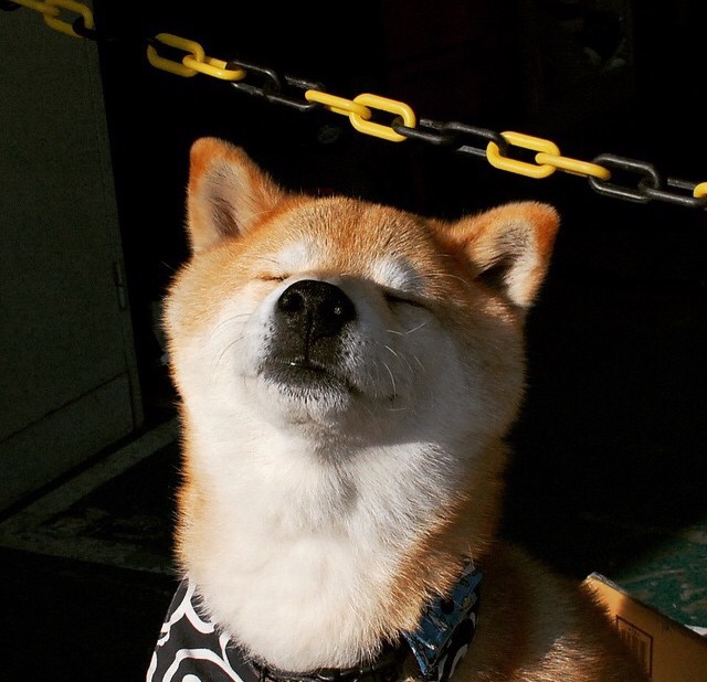 德国男子篮球队在小组赛中表现出色,保持不败,德国男子篮球队在小组赛中表现出色,保持不败的状态