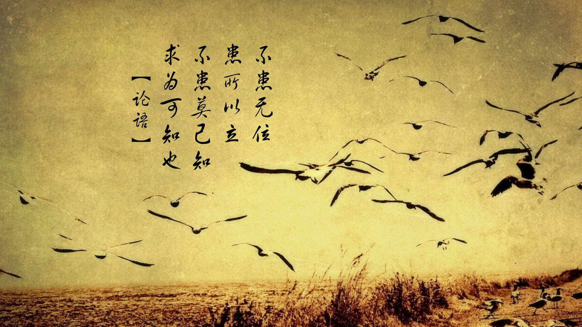 国际象棋直播火出圈,女主播对弈击败三位大师,国际象棋 视频